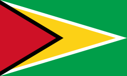 Guyana Flag