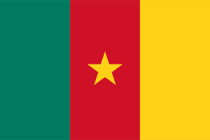 Cameroon flag