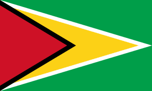 Guyana flag