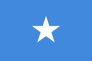 Somalia flag