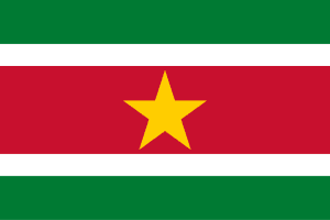 Suriname flag